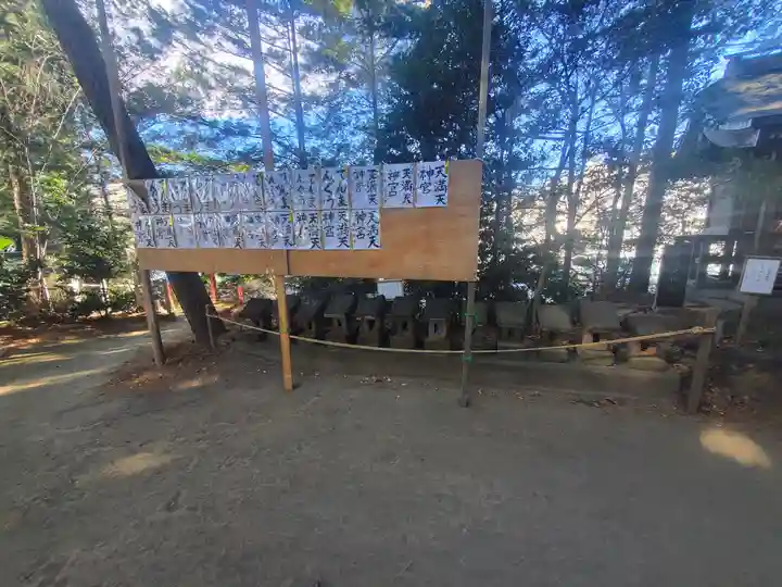 開運招福 飯玉神社(群馬県)