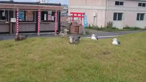 蕪嶋神社の建物その他