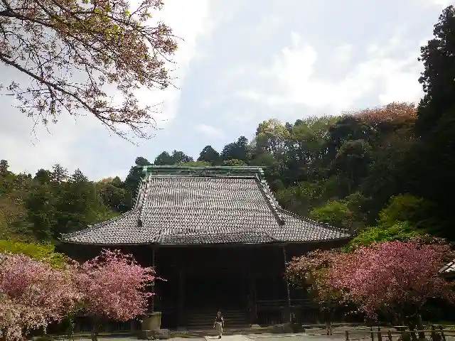 妙本寺の本殿・本堂
