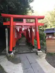 佐助稲荷神社の鳥居