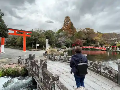 富士山本宮浅間大社(静岡県)