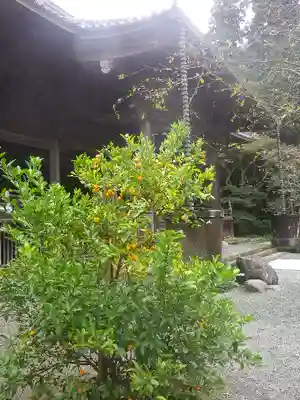 妙本寺のその他建物