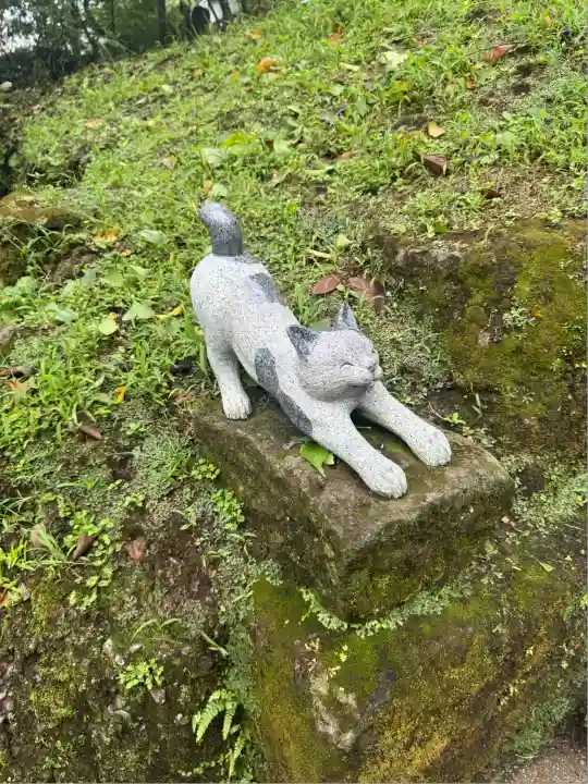 猫神社(鹿児島県)