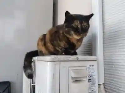 正覚寺(福井県)