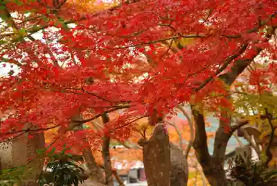 両足寺(山口県)