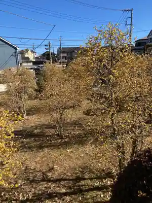 極楽寺(神奈川県)