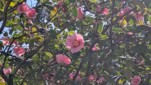 霊源院(京都府)