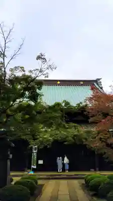 豪徳寺のその他建物