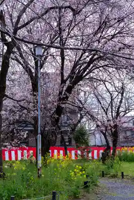 平野神社(京都府)