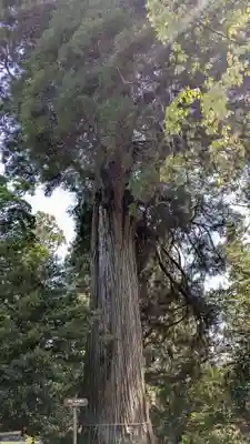 末廣神社の自然