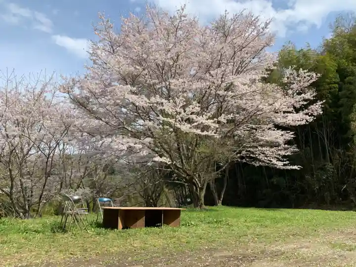 八幡神社の自然
