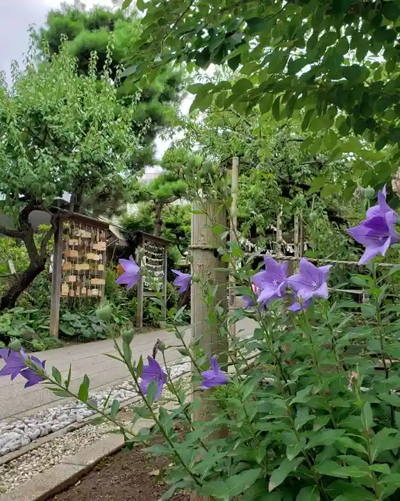 鳩森八幡神社のその他建物