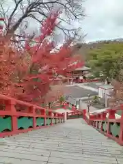 祐徳稲荷神社の建物その他