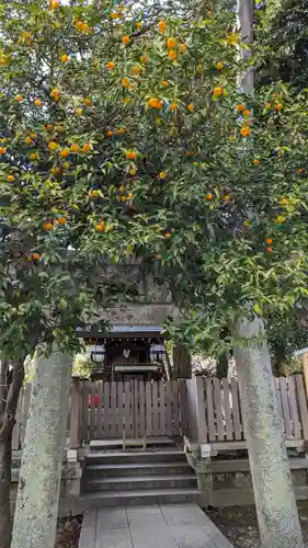 北野天満宮(京都府)