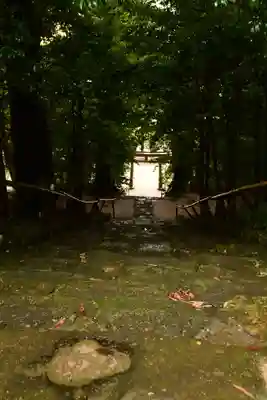 眞名井神社(島根県)