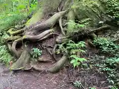 戸隠神社奥社(長野県)