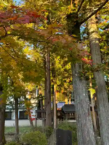 諏訪大社下社秋宮(長野県)