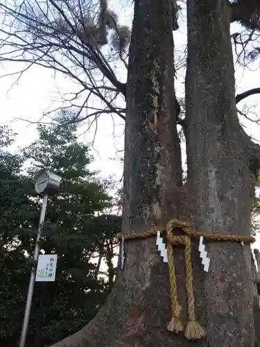 比々多神社(神奈川県)