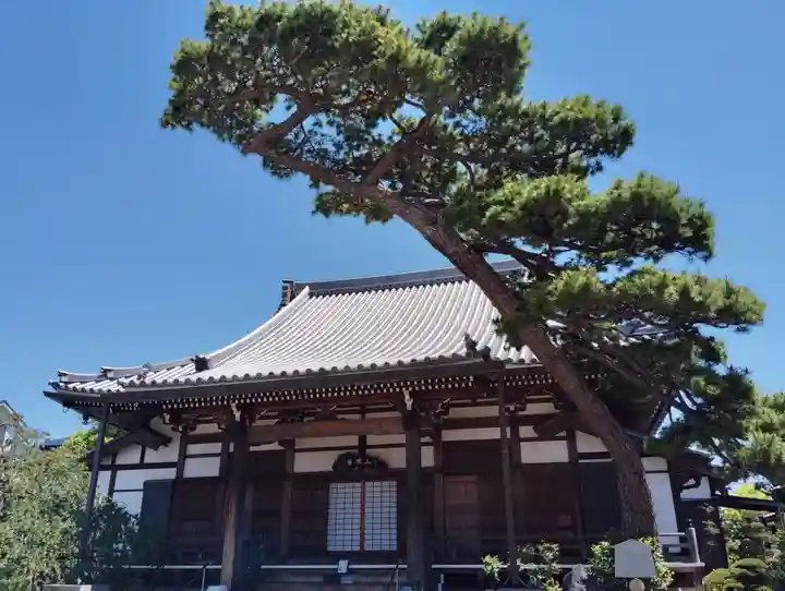 現光寺(兵庫県)