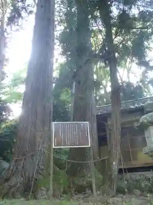 磐照神社(愛知県)