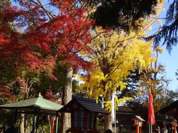 明王院(満願寺別院)の自然