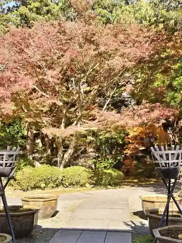 覚園寺(神奈川県)