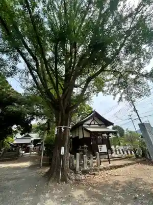 桐生天満宮(群馬県)