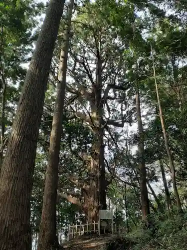 武生神社(茨城県)
