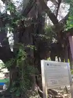 千葉寺のその他建物