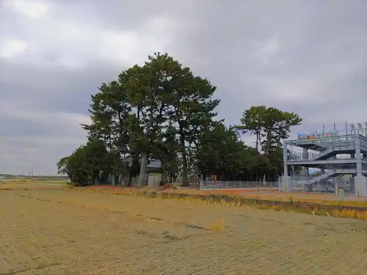 磤玖娜社(奥田神社)の自然