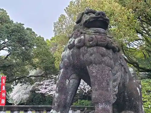 福岡縣護國神社の狛犬