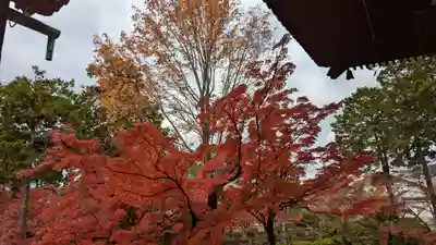真正極楽寺(真如堂)(京都府)