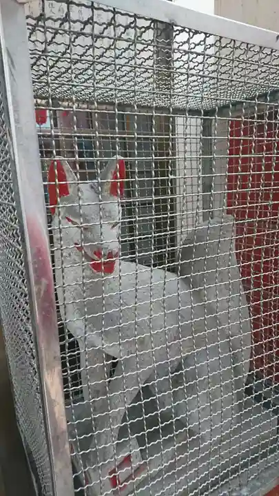 小岩箭弓稲荷神社の狛犬