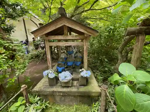明月院(神奈川県)