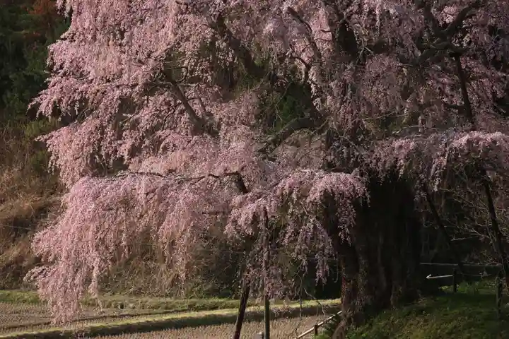 上石不動堂(福島県)