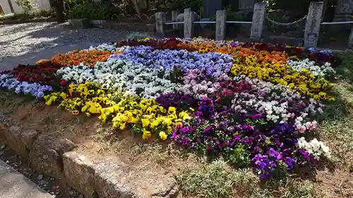 西新井大師総持寺の庭園