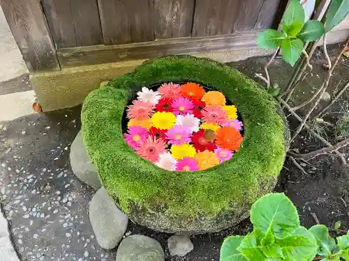 菅生神社(愛知県)