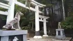 三峯神社の狛犬