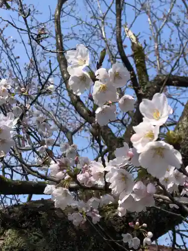 熊野神社(福井県)