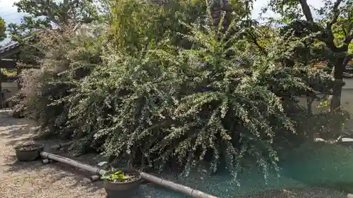 後白河院御聖蹟　法住寺(京都府)
