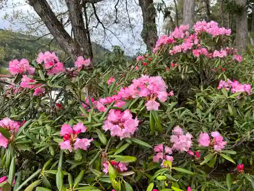 宝珠寺(山形県)