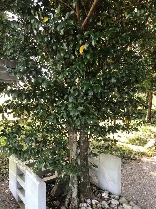 仲神社(三重県)