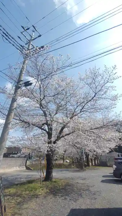 一言主神社(茨城県)