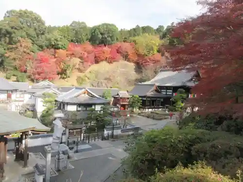 岡寺（龍蓋寺）(奈良県)