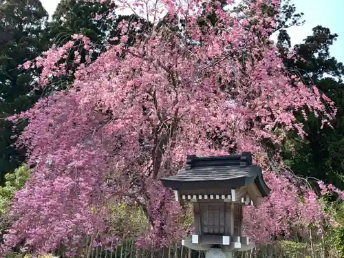 秋葉山本宮 秋葉神社 上社の景色