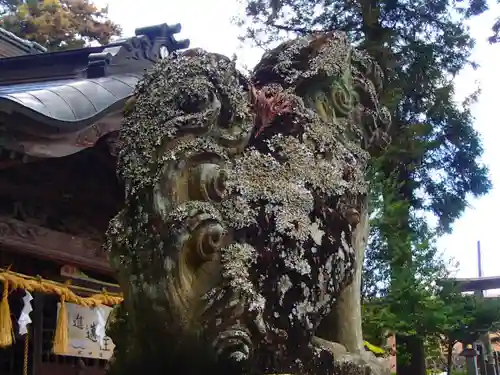 春日神社の狛犬