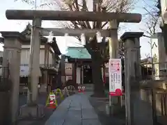 白幡八幡神社の鳥居