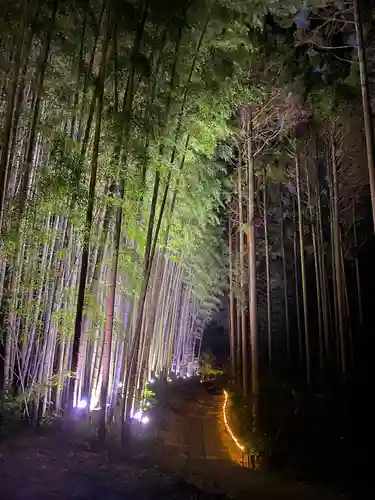 武雄神社の自然