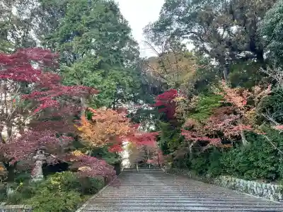 光明寺（粟生光明寺）(京都府)