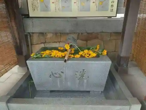 亀山八幡宮(山口県)